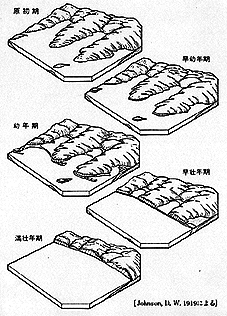 沈水海岸の模式図