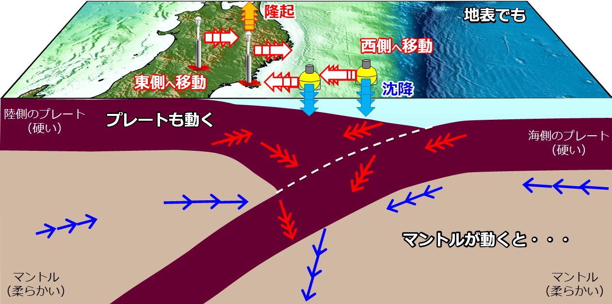 粘弾性緩和のイメージ