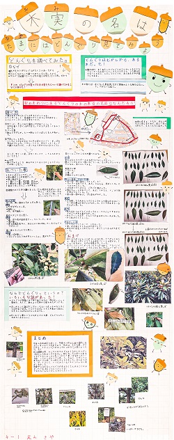 作品：木実の名は ～たまにはどんぐり見てみよう～