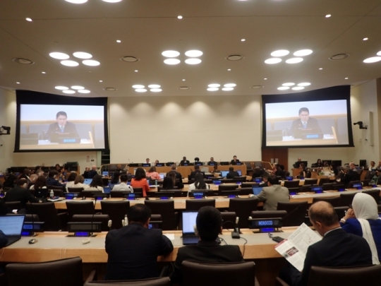 UN-GGIM