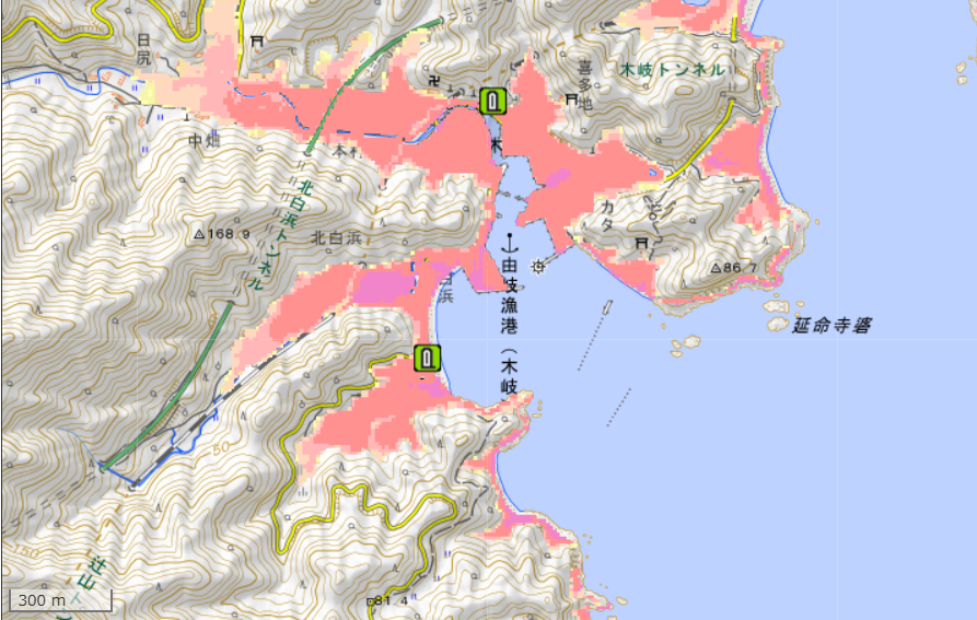 地理院地図の画面